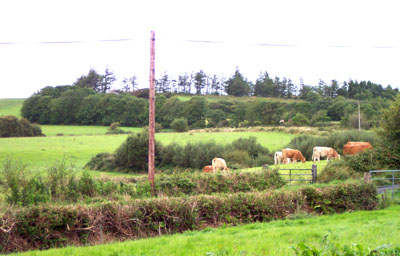 view of farm